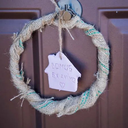 דירה Domus Ex Animo בוקרשט