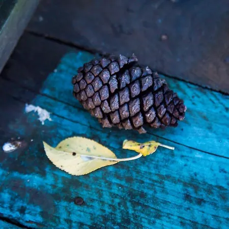 Διαμέρισμα Domus Ex Animo