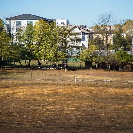 Apartment Domus Ex Animo