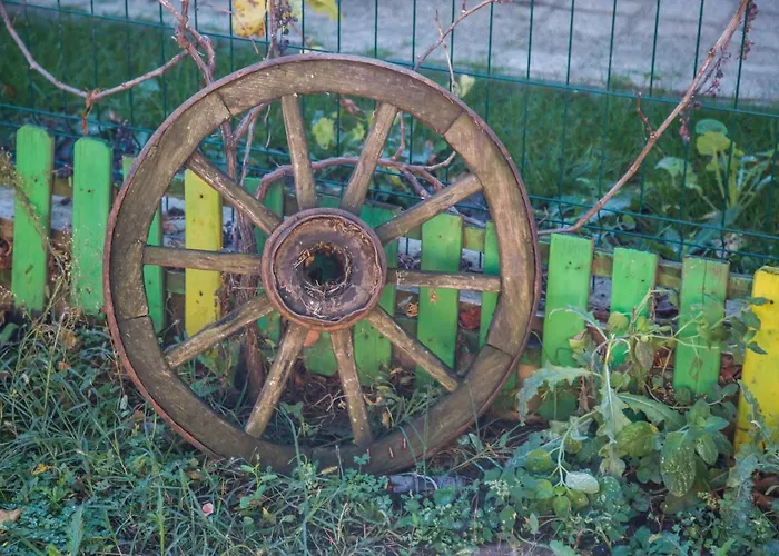 Domus Ex Animo Apartamento