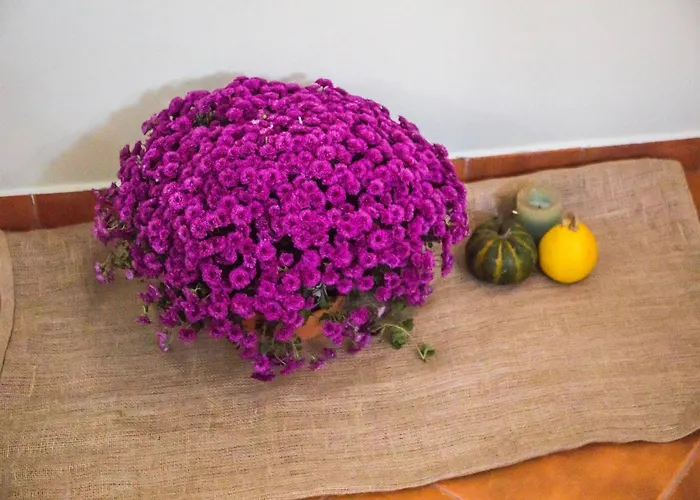 Domus Ex Animo Apartamento *