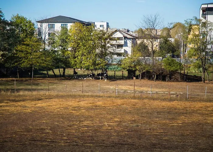 Apartamento Domus Ex Animo