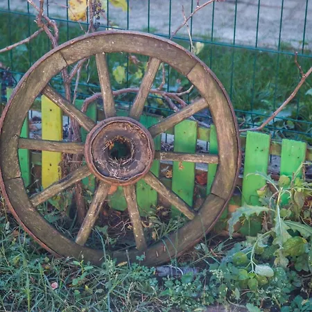 Domus Ex Animo Апартаменты