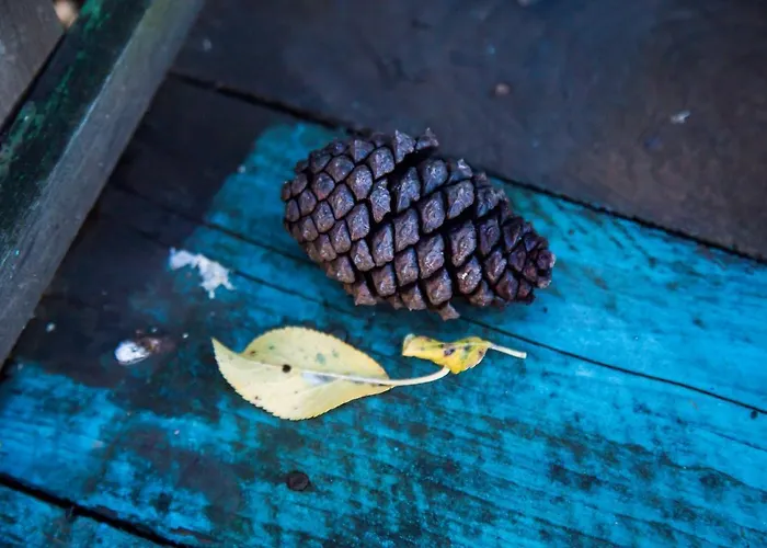 アパート Domus Ex Animo