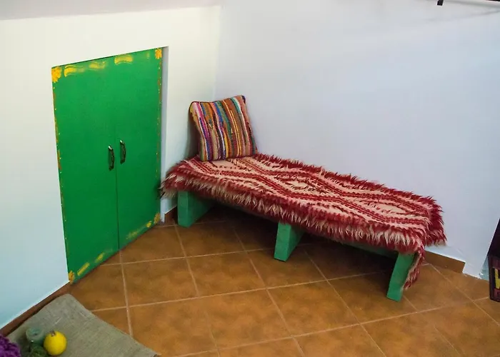 Domus Ex Animo * ブカレスト